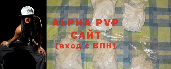 СК Алексин