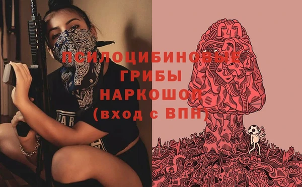 дурь Алексеевка