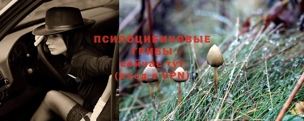 СК Алексин