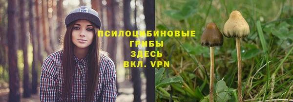 СК Алексин