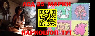 spice Владимир