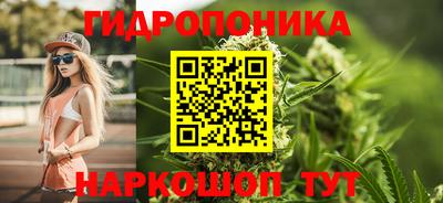 PSILOCYBIN Владивосток