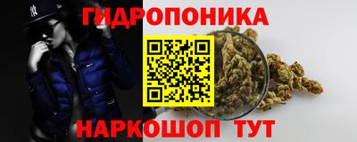 PSILOCYBIN Владивосток