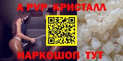 spice Владимир