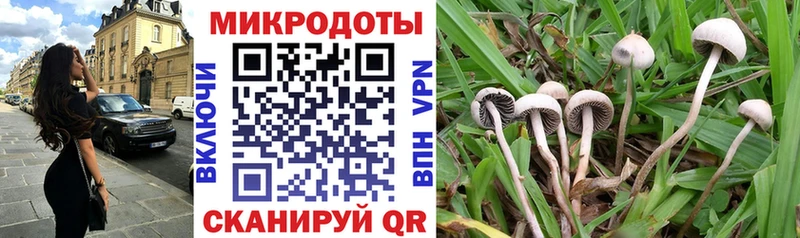Галлюциногенные грибы мухоморы сколько стоит Слободской