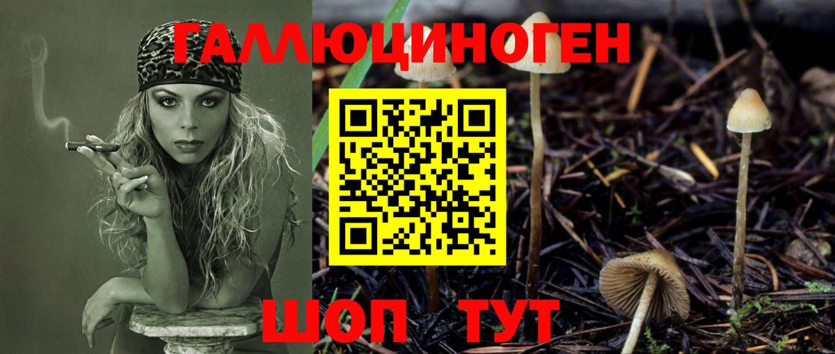 Псилоцибиновые грибы MAGIC MUSHROOMS  Вход с VPN  Слободской  Галлюциногенные грибы Cubensis 